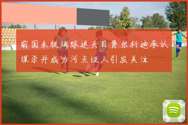前国米极端球迷头目费尔科迪承认谋杀并成为污点证人引发关注